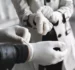 How to Choose the Right Surgical Gloves for Your Medical Procedures